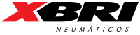 XBRI